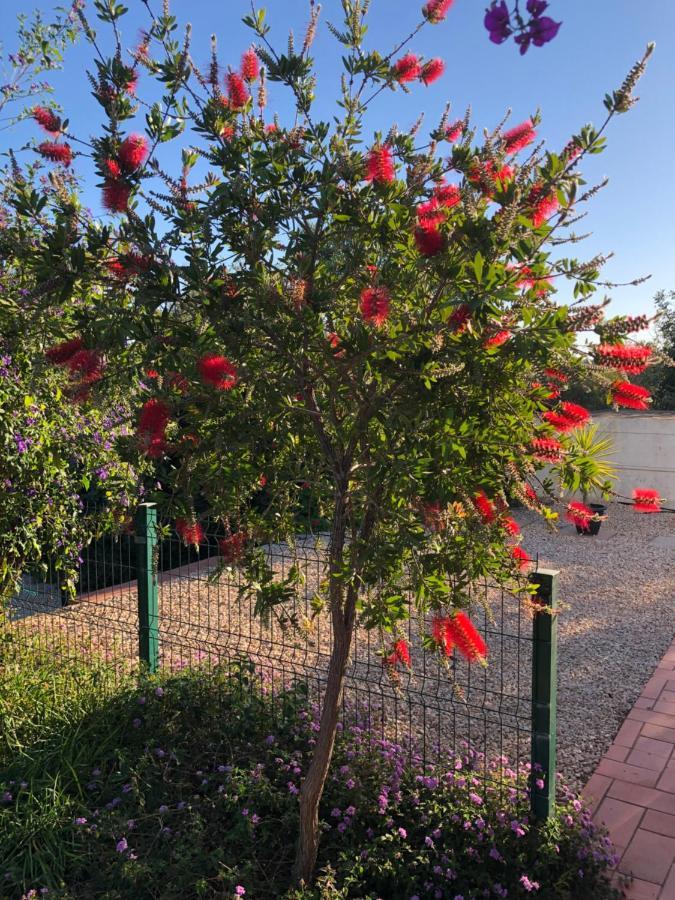 Quinta Das Amendoeiras B&B Nora  外观 照片