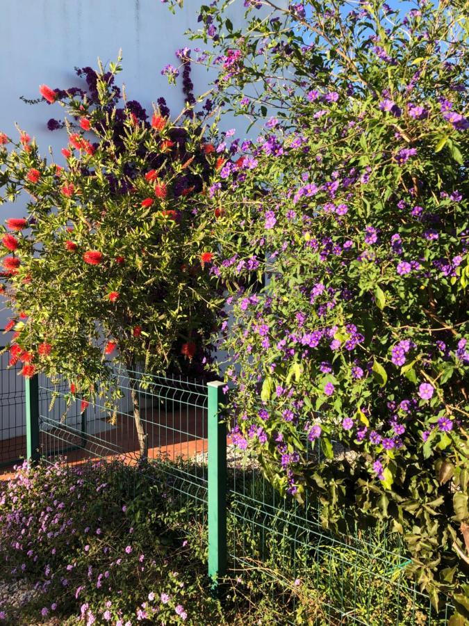 Quinta Das Amendoeiras B&B Nora  外观 照片