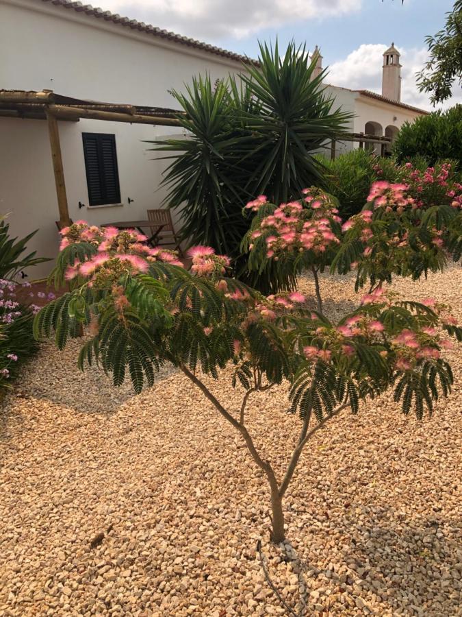Quinta Das Amendoeiras B&B Nora  外观 照片